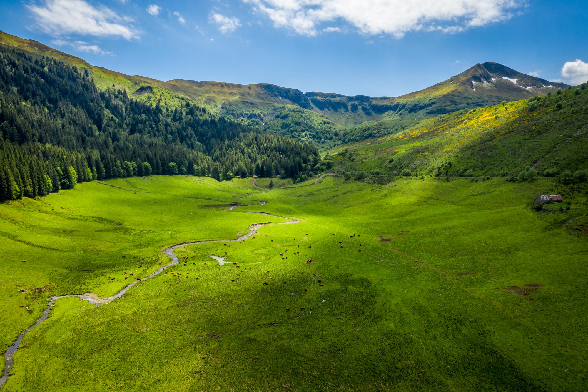 Puy Mary - Cantal ©puydimages